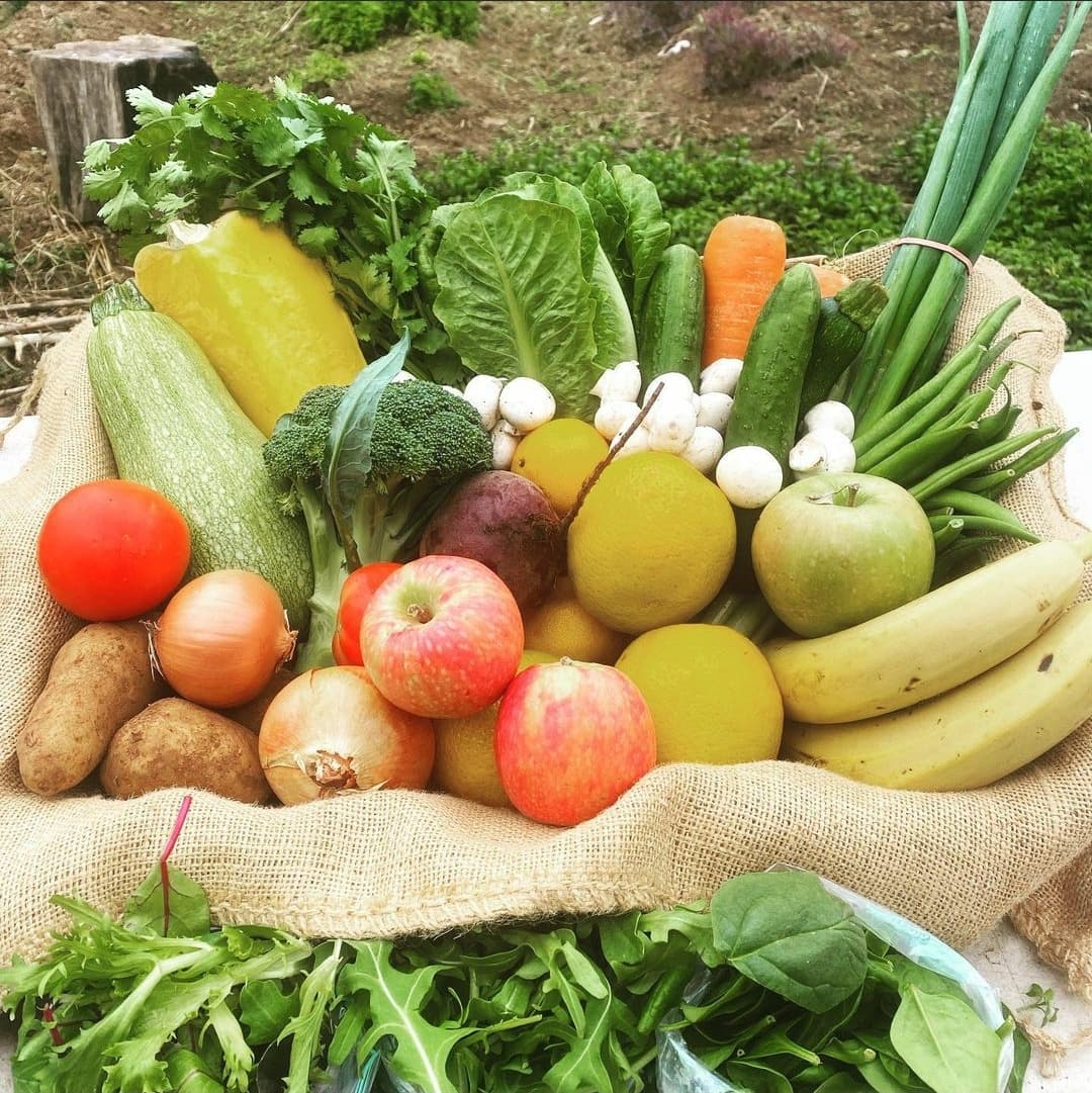 Field to Feast - organic fruit and veggies