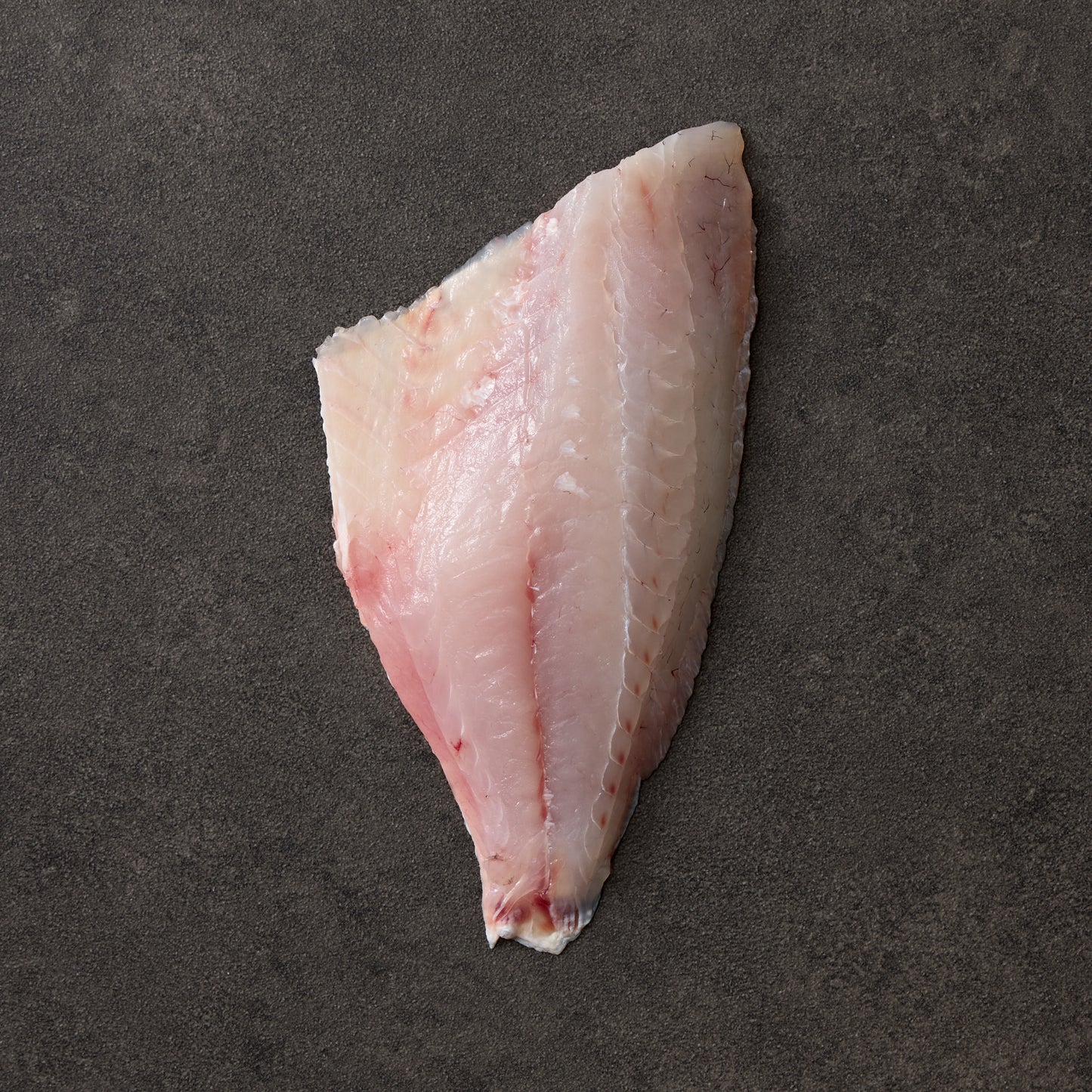 Line-Caught NSW Snapper Fillets