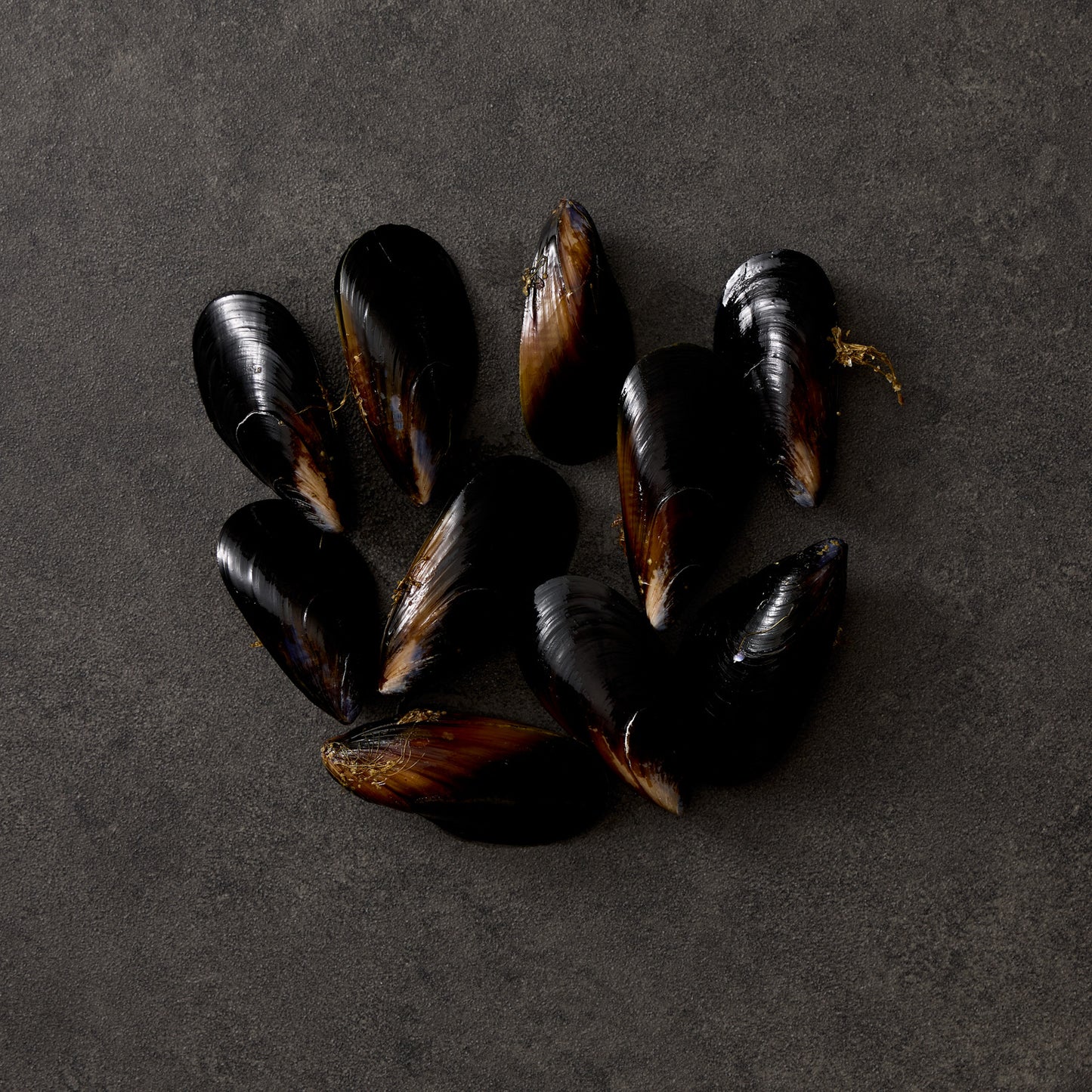 Organic Australian Black Mussels