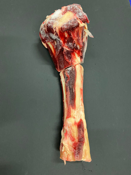 Beef Marrow Bone Whole